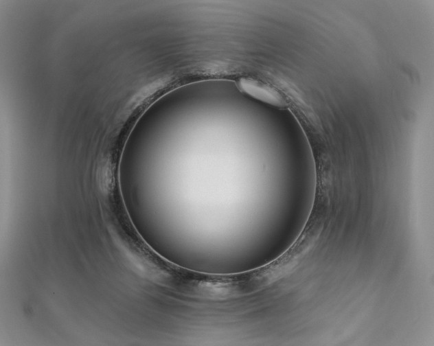 X0000112000164200908031236