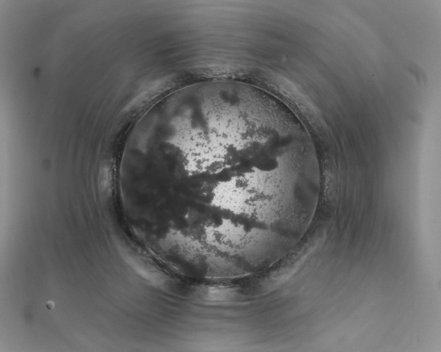 X0000112000165200908031236