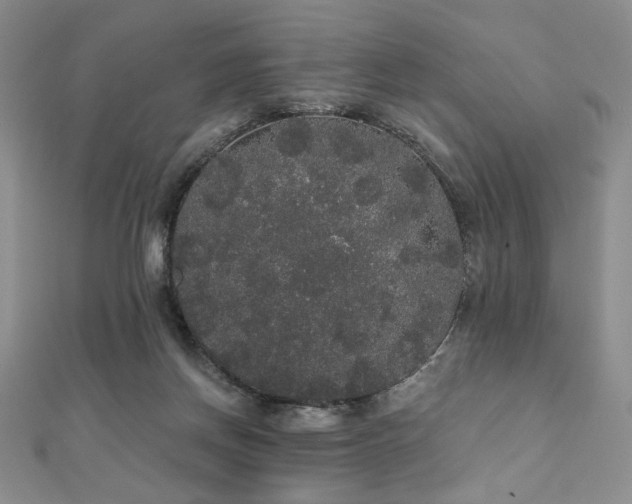 X0000112000166200908031236