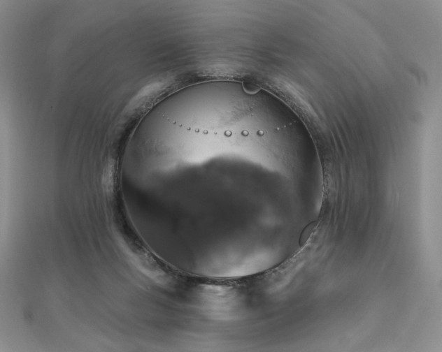 X0000112000167200908031236