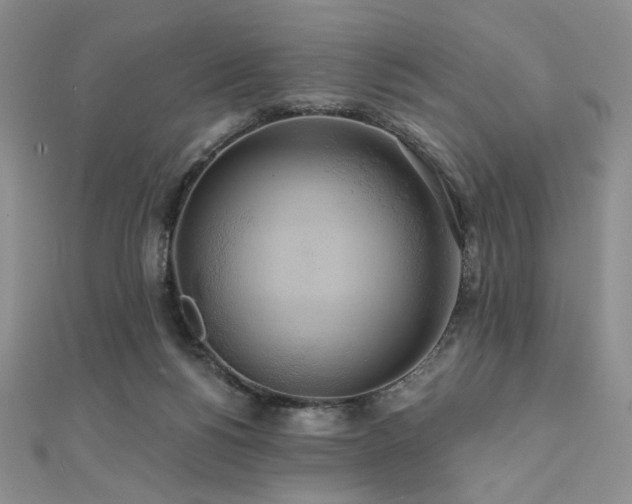 X0000112000168200908031236