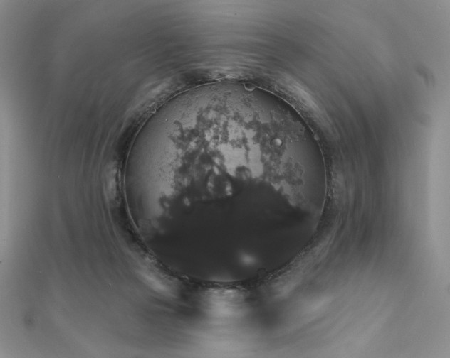 X0000112000169200908031236