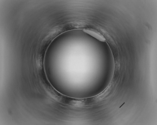 X0000112000170200908031236