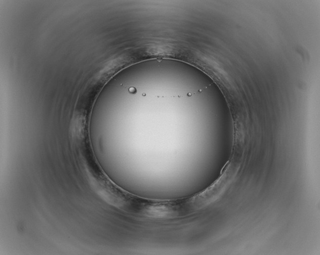 X0000112000171200908031236