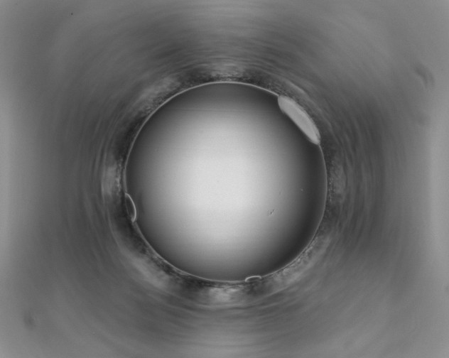 X0000112000172200908031236