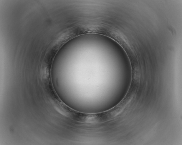 X0000112000173200908031236