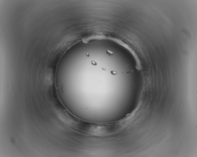 X0000112000174200908031236