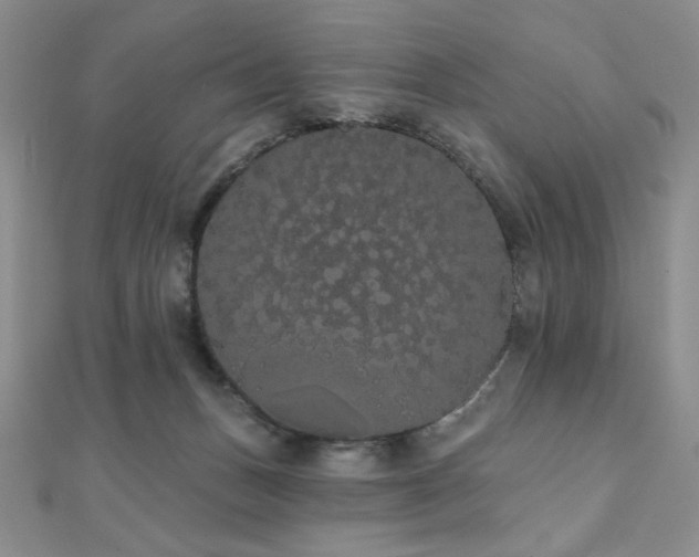 X0000112000175200908031236