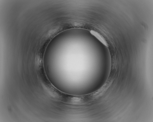 X0000112000176200908031236