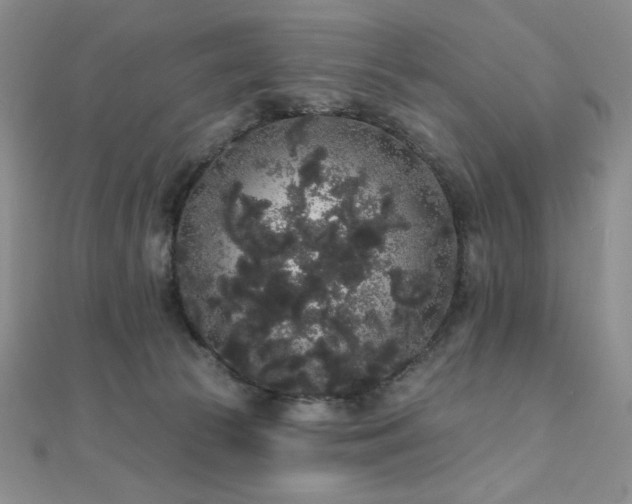 X0000112000177200908031236