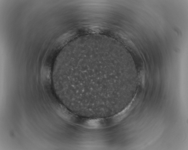 X0000112000178200908031236