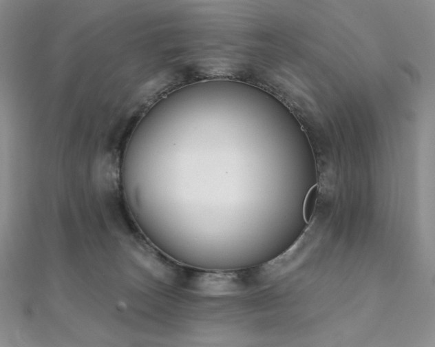 X0000112000179200908031236