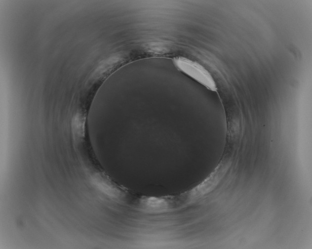 X0000112000180200908031236