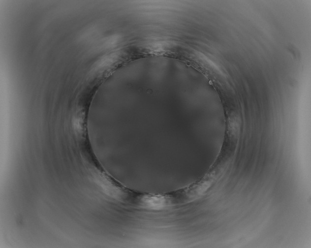 X0000112000181200908031236