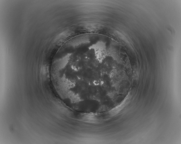 X0000112000182200908031236