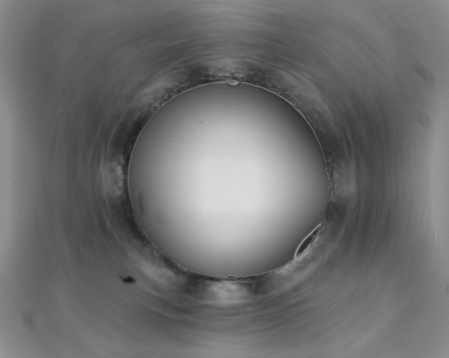 X0000112000183200908031236