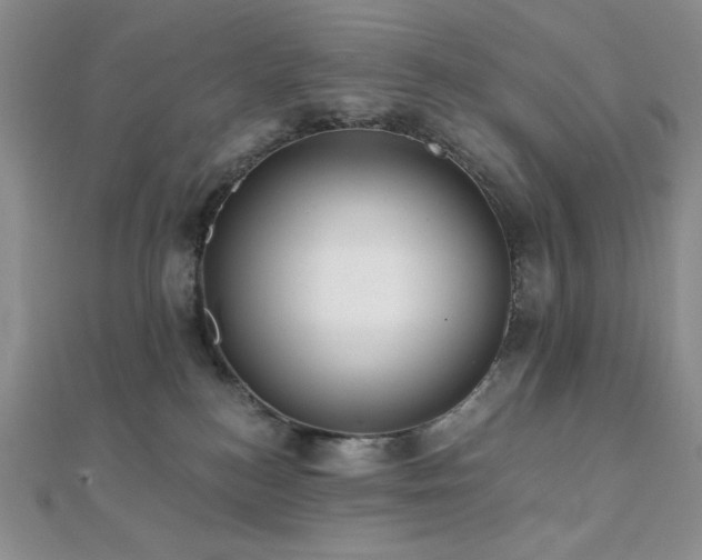 X0000112000184200908031236