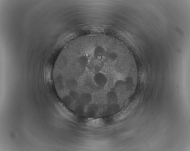 X0000112000185200908031236