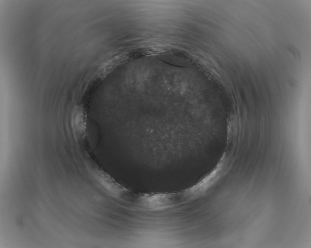 X0000112000186200908031236