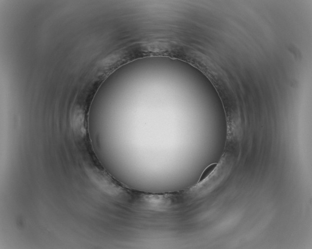 X0000112000187200908031236