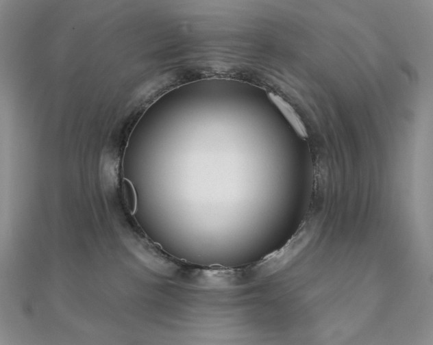 X0000112000188200908031236