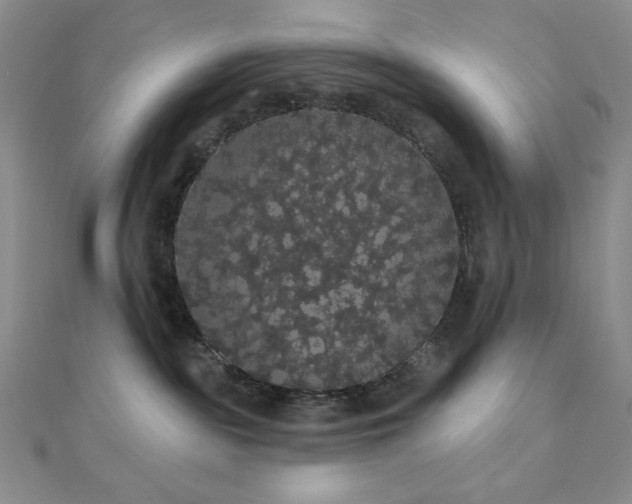 X0000112000189200908031236