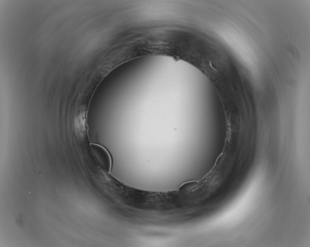 X0000112000190200908031236