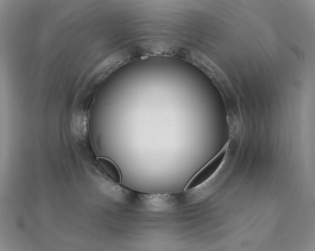 X0000112000191200908031236