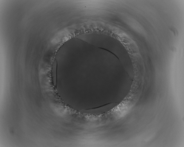 X0000112000192200908031236