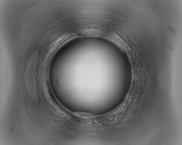 X0000112000193200908031235