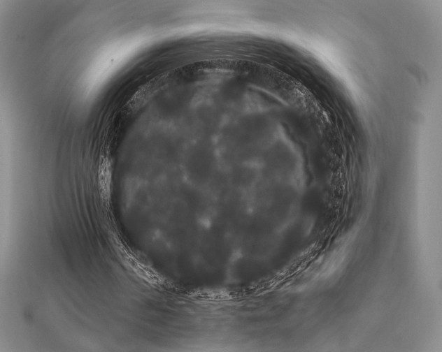 X0000112000194200908031235