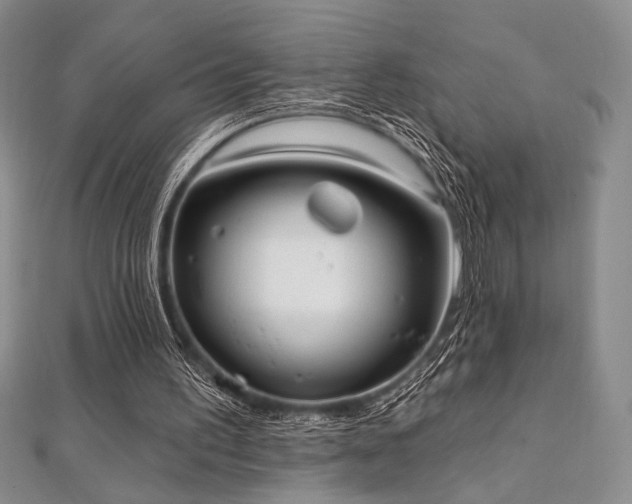 X0000112000195200908031235