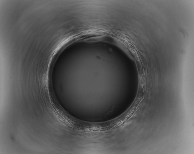 X0000112000196200908031235