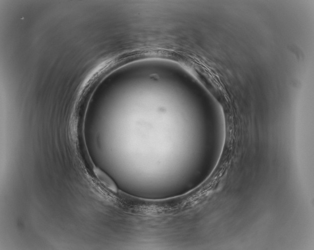 X0000112000197200908031235