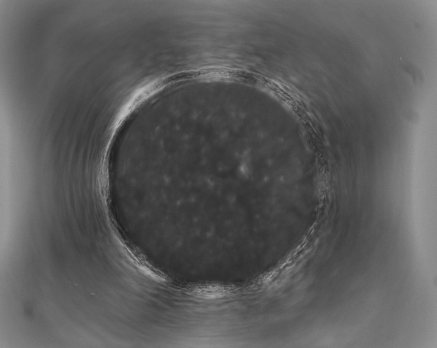 X0000112000198200908031235