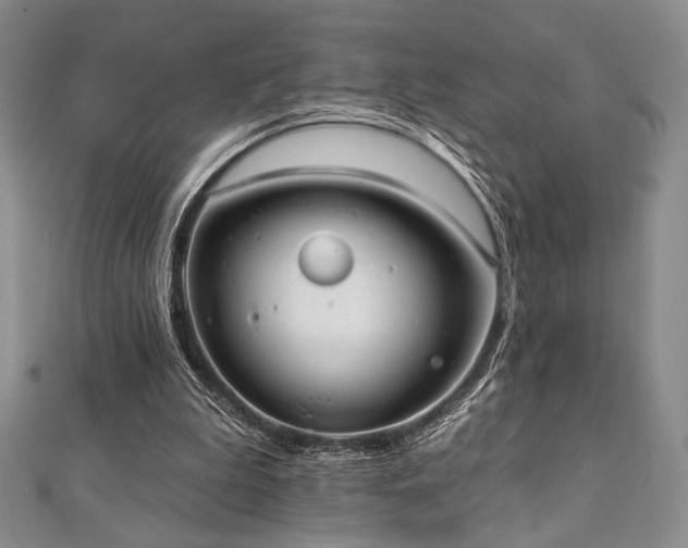 X0000112000199200908031235