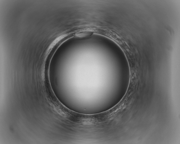 X0000112000200200908031235