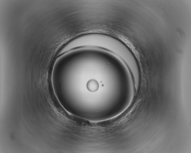 X0000112000201200908031235