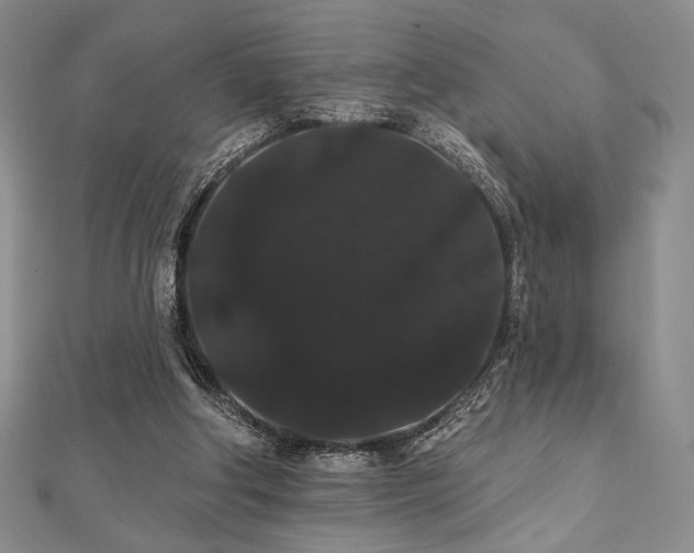 X0000112000202200908031235