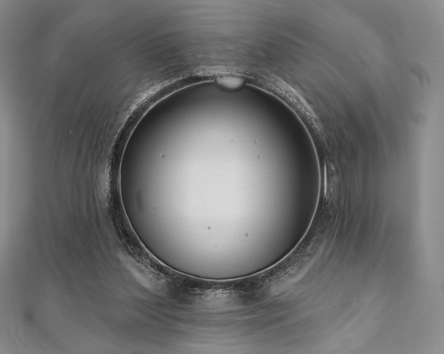 X0000112000204200908031235