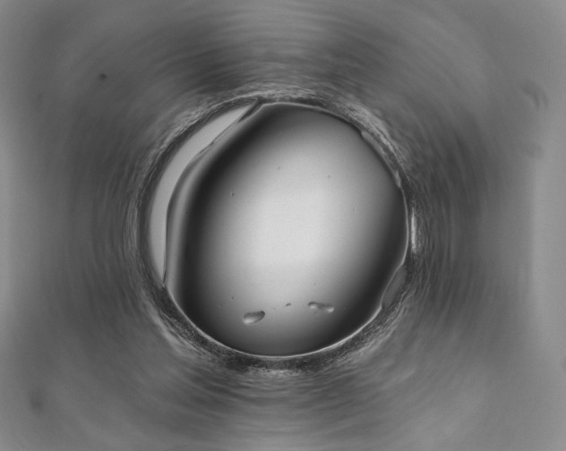 X0000112000205200908031235