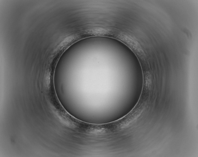 X0000112000206200908031235