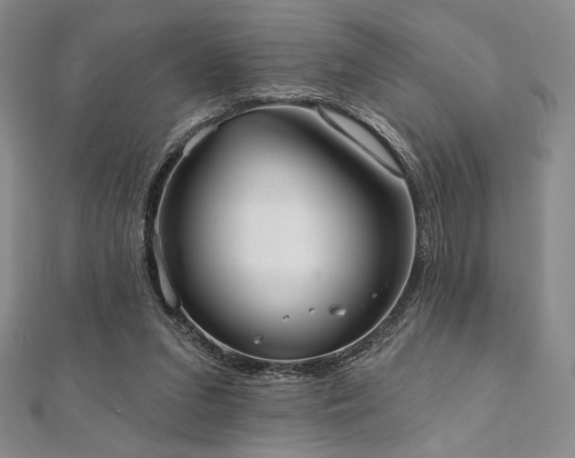 X0000112000207200908031235