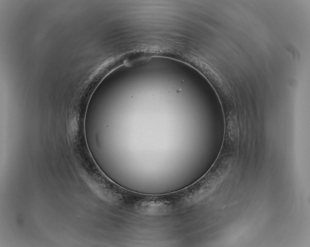 X0000112000208200908031235