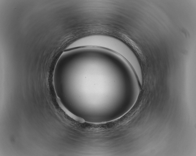 X0000112000209200908031235