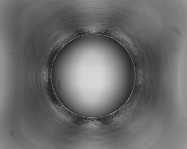 X0000112000210200908031235