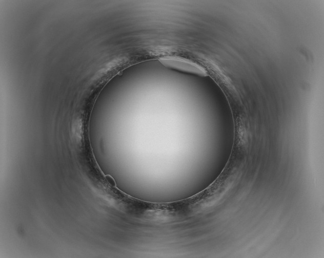 X0000112000211200908031235