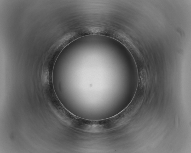 X0000112000212200908031235