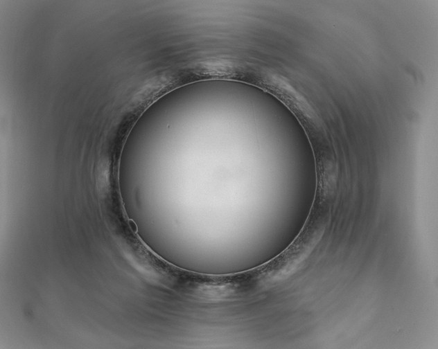 X0000112000213200908031235