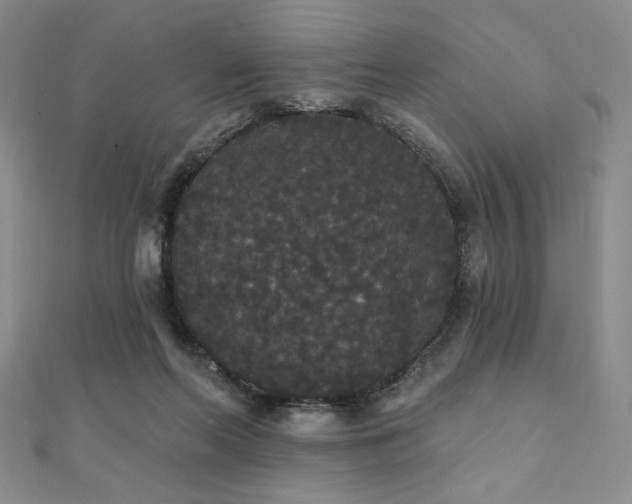 X0000112000214200908031235